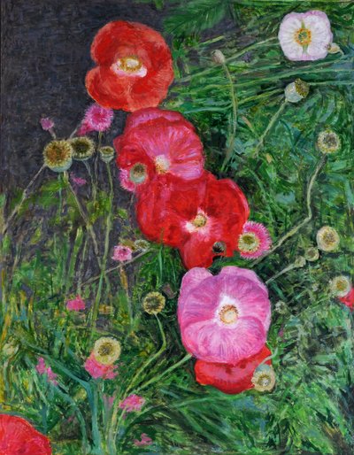 Poppies by Ruth Addinall